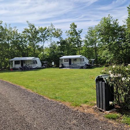 Camping Alkenhaer Appelscha Lege Kampeerplaats Luaran gambar