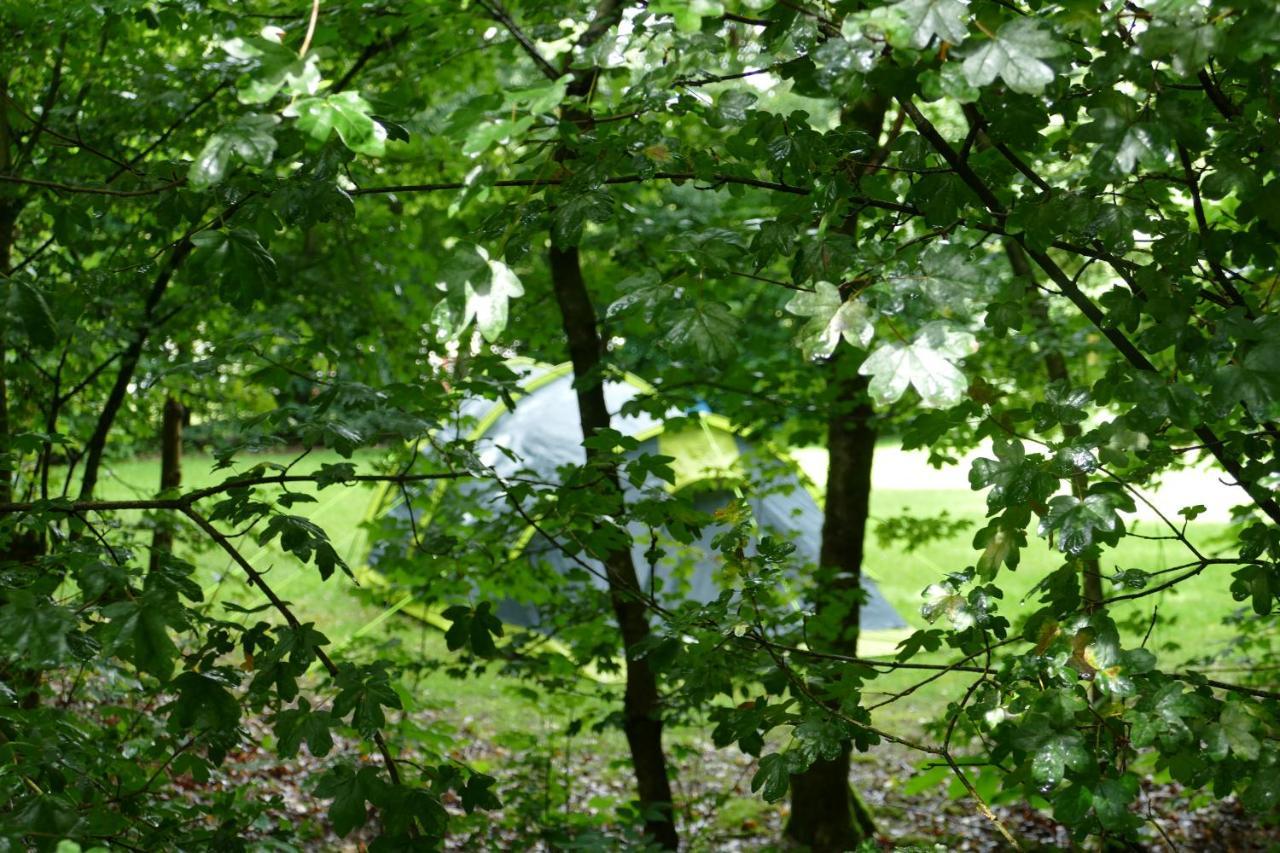 Camping Alkenhaer Appelscha Lege Kampeerplaats Luaran gambar
