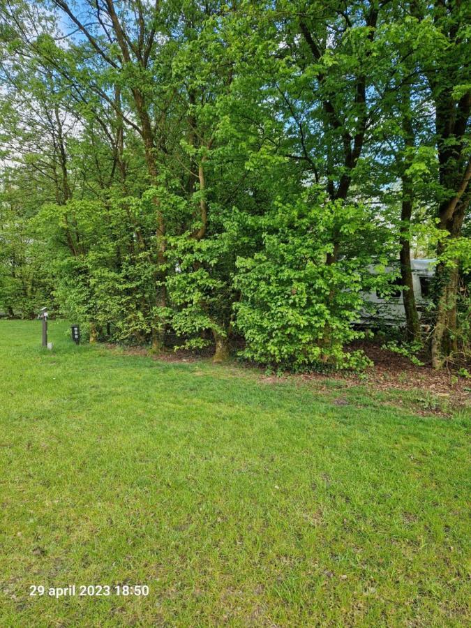 Camping Alkenhaer Appelscha Lege Kampeerplaats Luaran gambar