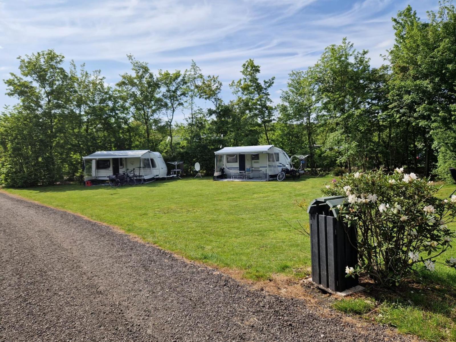 Camping Alkenhaer Appelscha Lege Kampeerplaats Luaran gambar